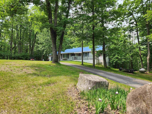 5206 Wolf Ln, Farwell, MI 48622 - view of green lawn