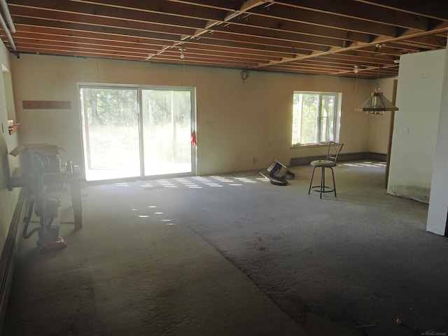 miscellaneous room featuring carpet flooring