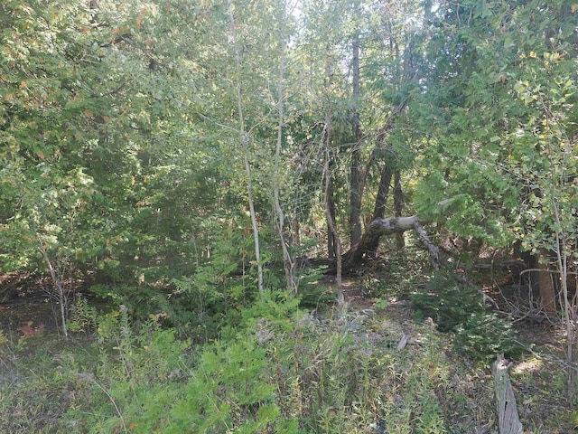 7502 Kauffman Blvd, Presque Isle, MI 49777 - view of wooded area