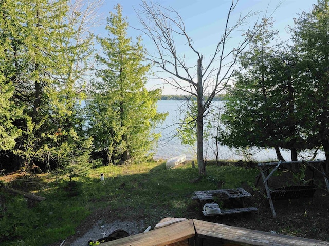 7502 Kauffman Blvd, Presque Isle, MI 49777 - view of yard featuring a water view