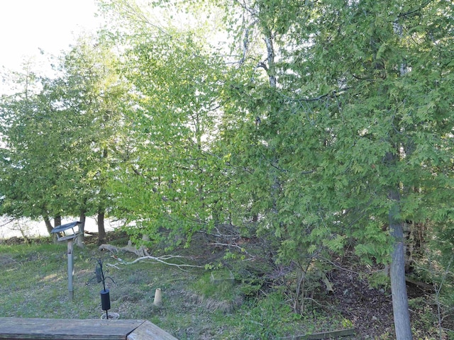 7502 Kauffman Blvd, Presque Isle, MI 49777 - view of nature