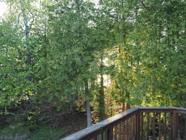 7502 Kauffman Blvd, Presque Isle, MI 49777 - view of yard