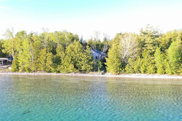7502 Kauffman Blvd, Presque Isle, MI 49777 - water view featuring a heavily wooded area