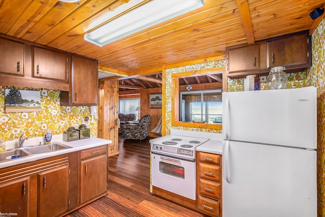 kitchen with white appliances, wood walls, sink, wooden ceiling, and dark hardwood / wood-style floors