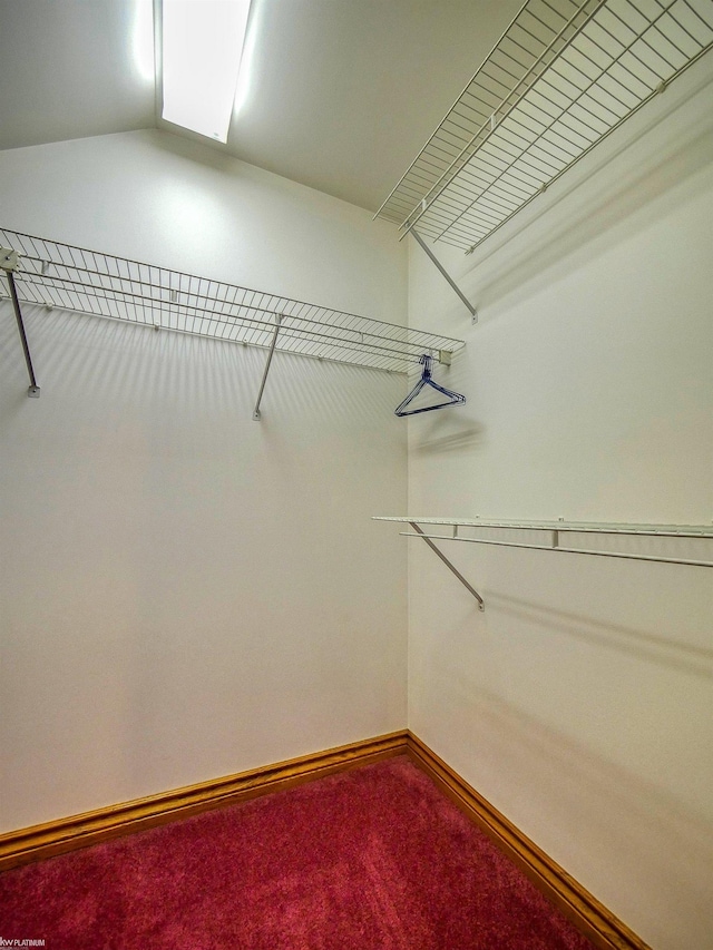 spacious closet with carpet floors