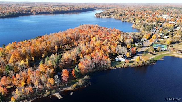 bird's eye view featuring a view of trees and a water view