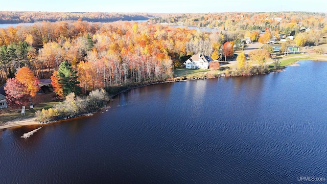 drone / aerial view featuring a view of trees and a water view