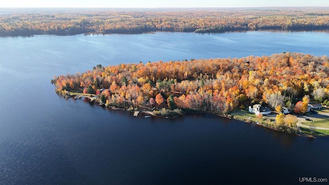 bird's eye view featuring a view of trees and a water view