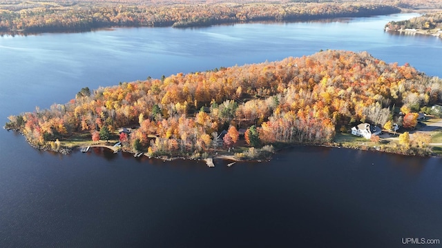 birds eye view of property with a water view and a wooded view