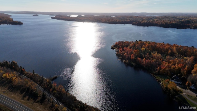 birds eye view of property featuring a wooded view and a water view