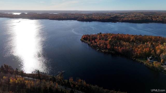 drone / aerial view featuring a view of trees and a water view
