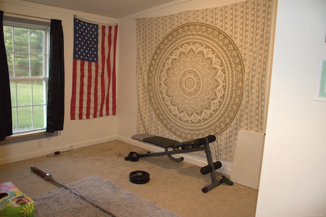 workout area featuring carpet flooring and a textured ceiling