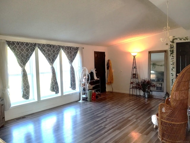 interior space with dark hardwood / wood-style floors and a textured ceiling