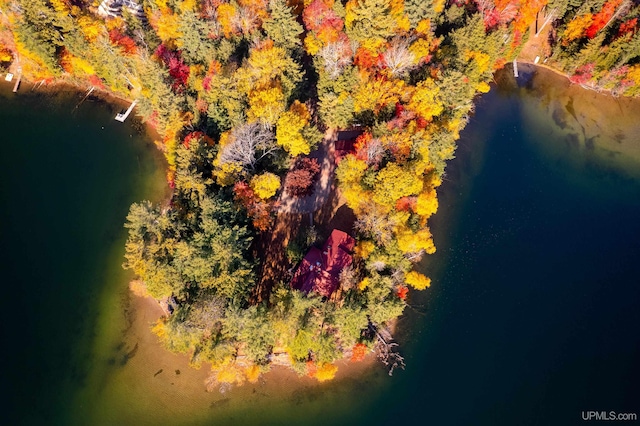 bird's eye view with a water view