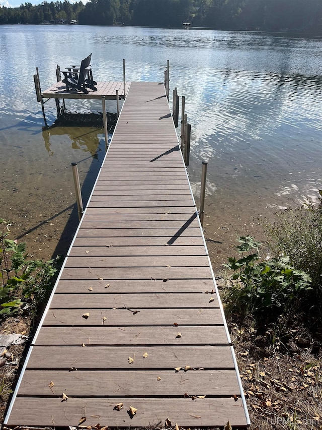 dock area with a water view