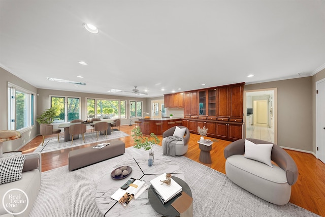 living room with ceiling fan, ornamental molding, and light wood-type flooring