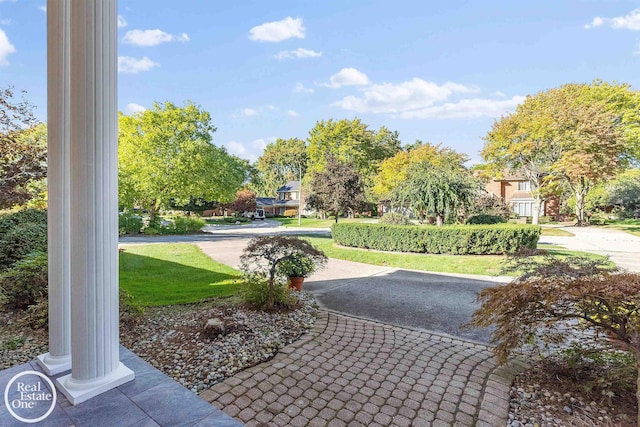view of property's community with a yard