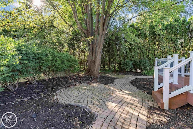 view of yard with a patio