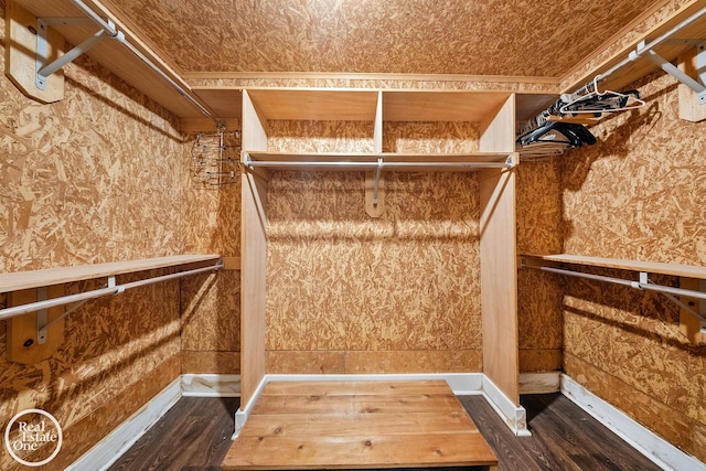 spacious closet featuring dark wood-type flooring