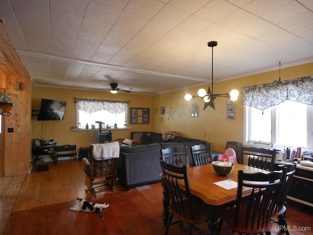 dining space featuring dark wood-type flooring, ceiling fan, and wooden walls