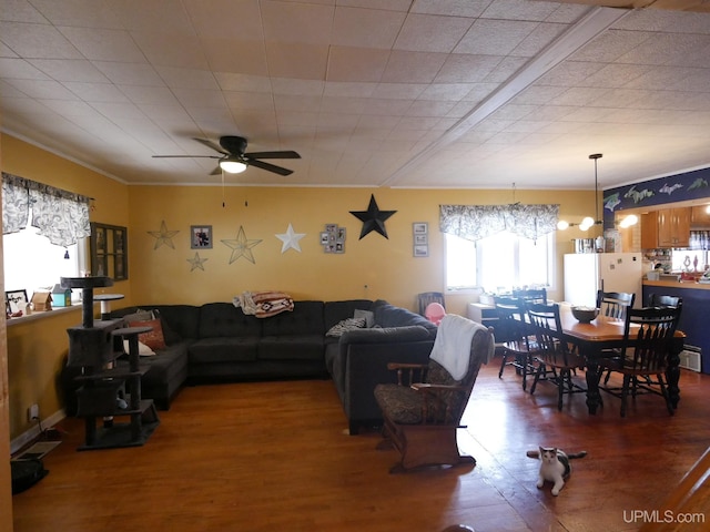 living room with dark wood-type flooring, ornamental molding, and ceiling fan with notable chandelier