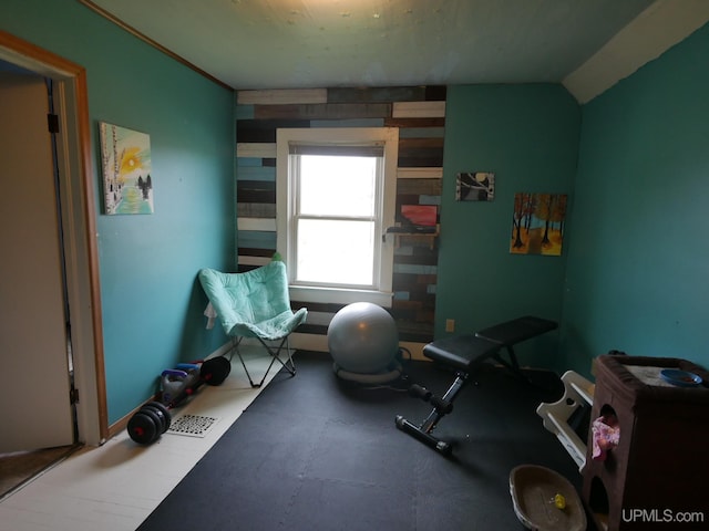 exercise room featuring lofted ceiling