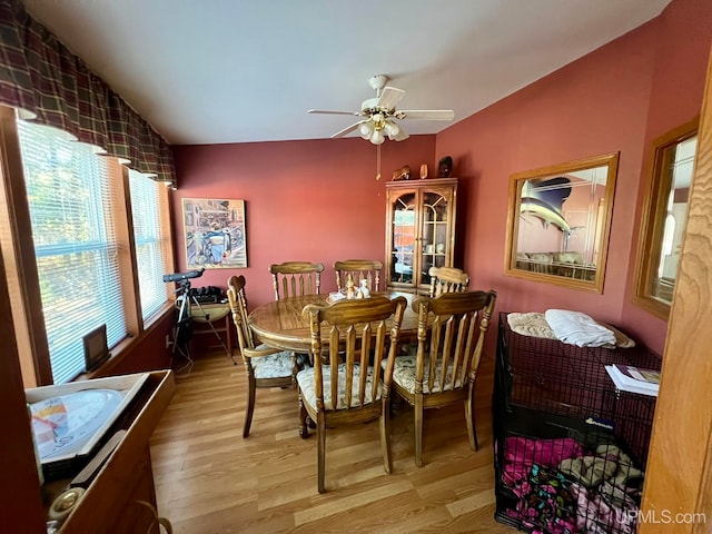 dining space with ceiling fan, lofted ceiling, and light wood-type flooring