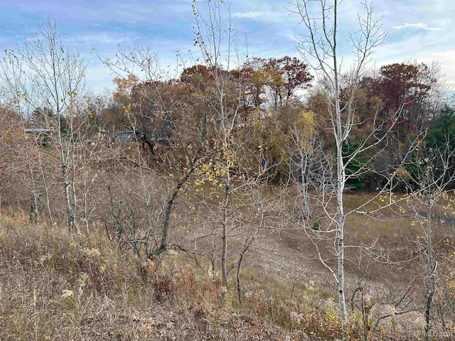 TBD Alexander Dr, Iron Mountain MI, 49801 land for sale