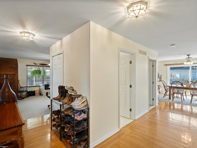 corridor featuring light hardwood / wood-style flooring and a healthy amount of sunlight