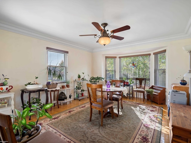 dining area with crown molding, wood-type flooring, plenty of natural light, and ceiling fan