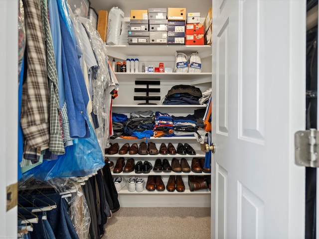 walk in closet with carpet floors