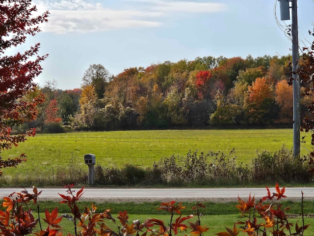 view of community featuring a rural view