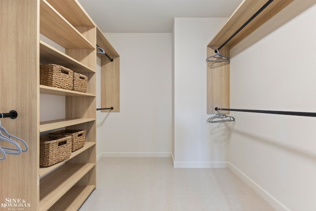 spacious closet with light colored carpet