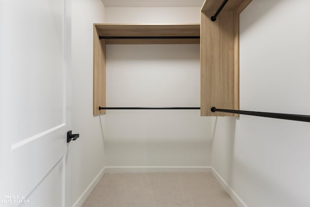 spacious closet with carpet floors