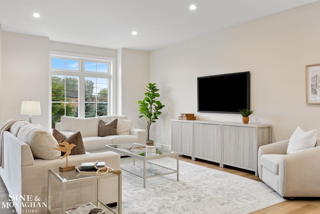 living room featuring light hardwood / wood-style flooring