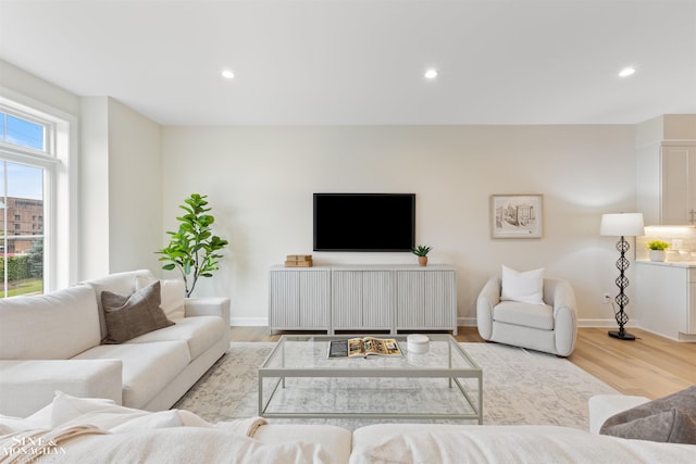 living room with light wood-type flooring