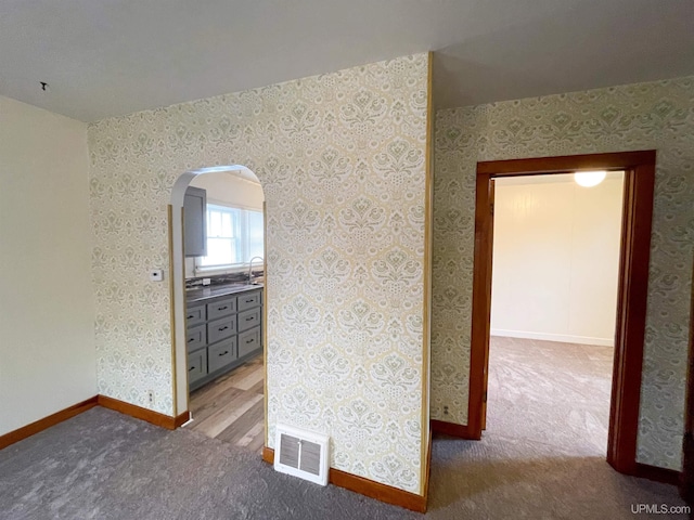 empty room featuring sink and wood-type flooring