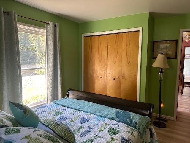bedroom with multiple windows, a closet, and hardwood / wood-style flooring