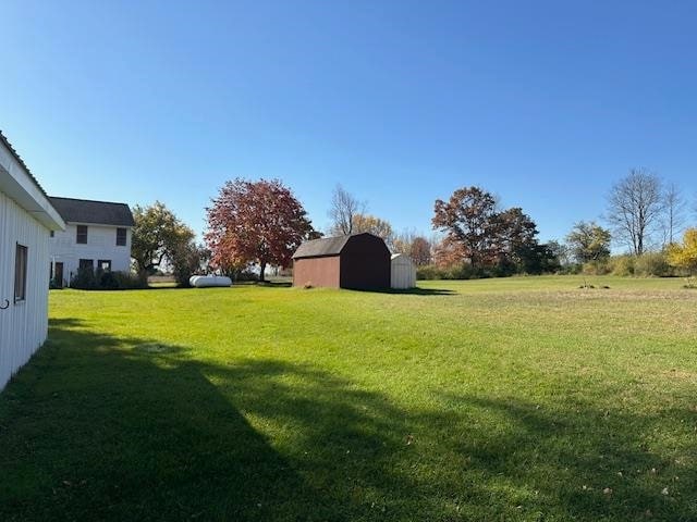 view of yard with a storage unit
