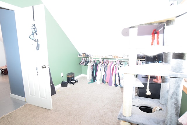 walk in closet with lofted ceiling and carpet