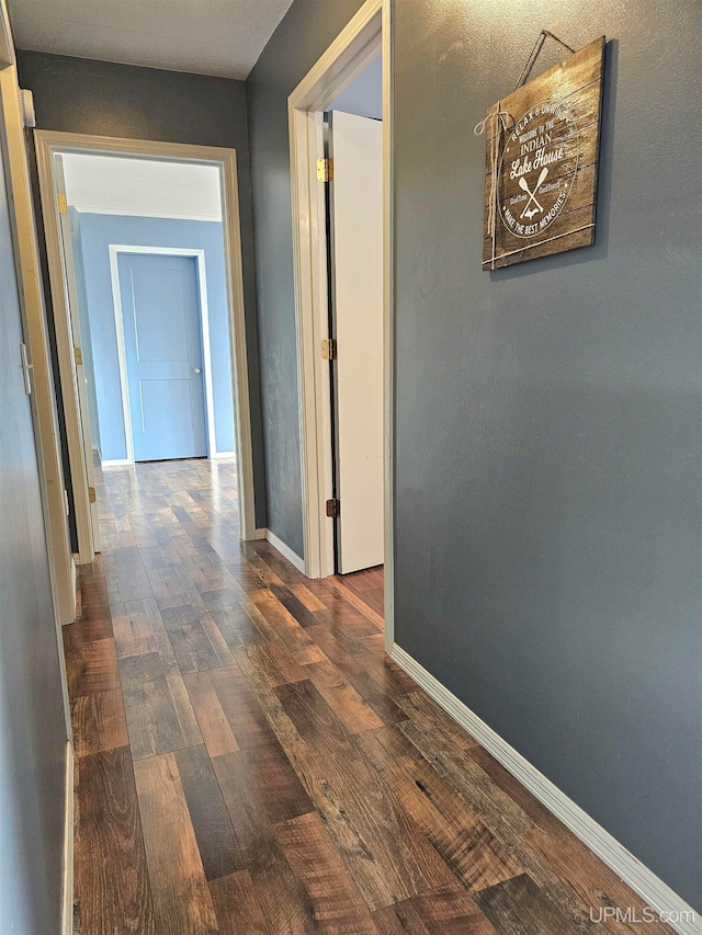 hallway featuring dark wood-type flooring