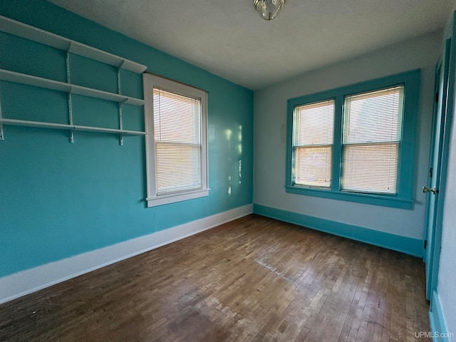 empty room with wood-type flooring and plenty of natural light