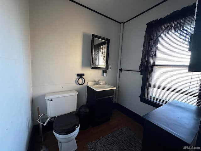 bathroom with vanity, toilet, and wood-type flooring