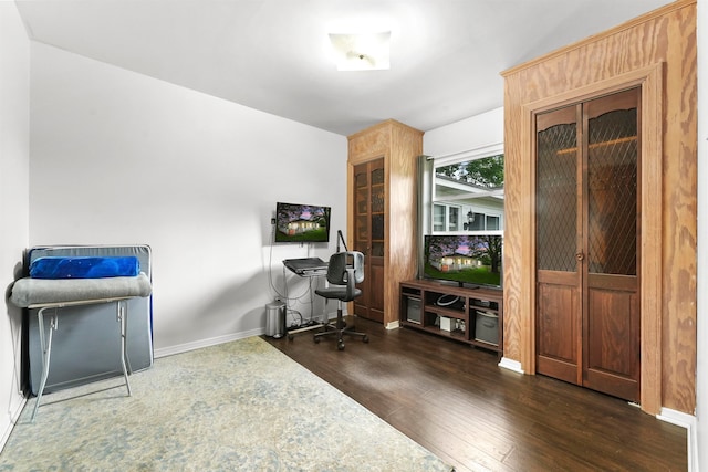 office featuring dark hardwood / wood-style flooring