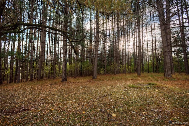 view of local wilderness featuring a forest view
