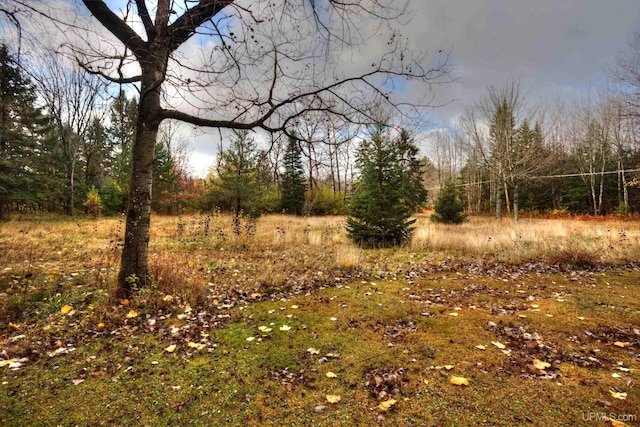 view of landscape with a forest view