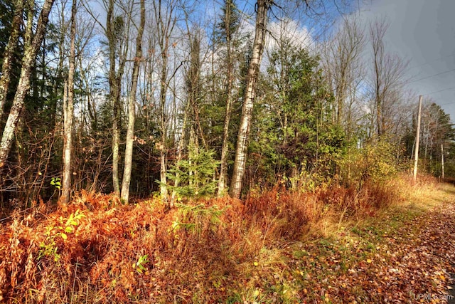 view of nature