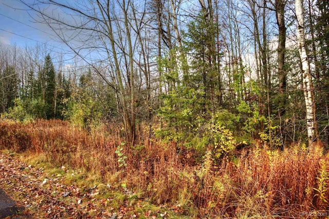 view of landscape featuring a wooded view