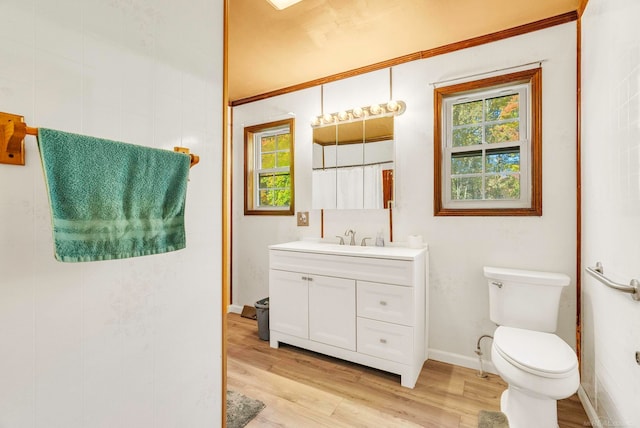 bathroom with toilet, vanity, and wood-type flooring