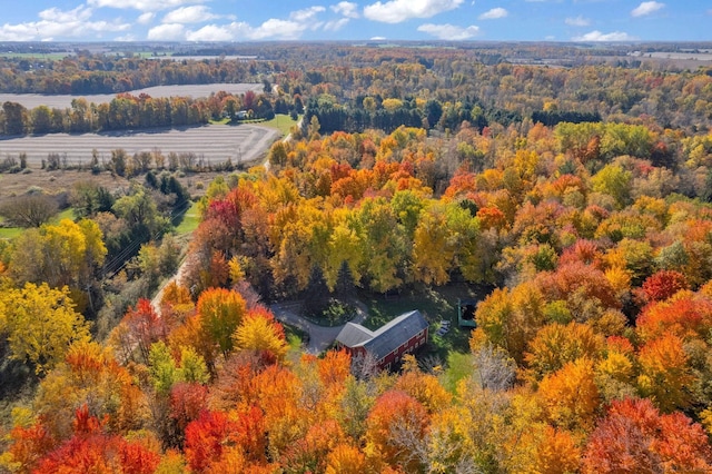 bird's eye view